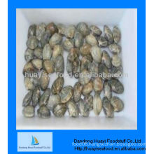 high quality frozen live short necked clam